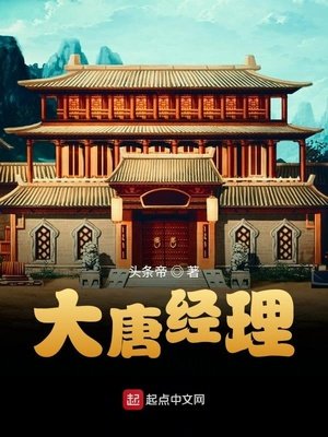 《大唐经理》