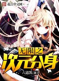 《无限之次元分身》