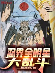 《忍界全明星大乱斗》