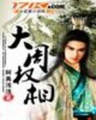 《大周权相》