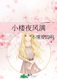 《小楼夜风满》