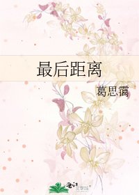 《最后距离》
