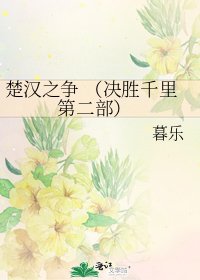 楚汉之争 （决胜千里 第二部）