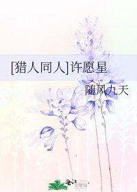 [猎人同人]许愿星