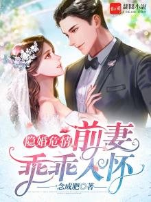 《隐婚危情:前妻乖乖入怀》