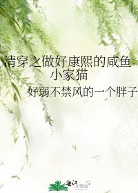 《清穿之做好康熙的咸鱼小家猫》