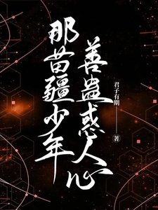 《那苗疆少年善蛊惑人心》