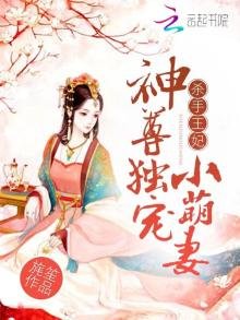 《杀手王妃:神尊独宠小萌妻》