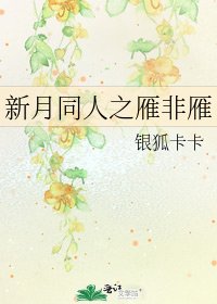 《新月同人之雁非雁》
