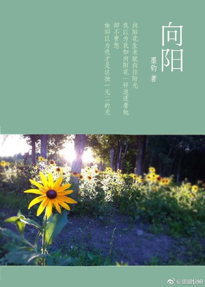 向阳gl