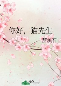 你好，猫先生