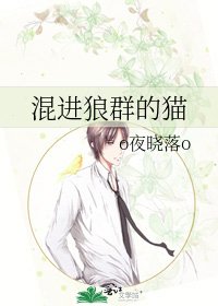 《混进狼群的猫》