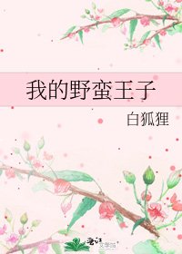 《我的野蛮王子》