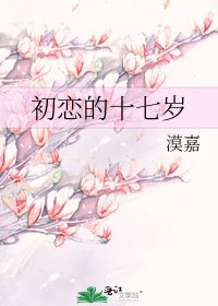 《初恋的十七岁》