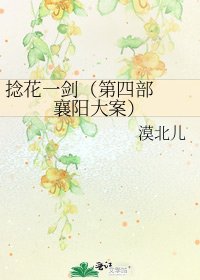 捻花一剑（第四部 襄阳大案）