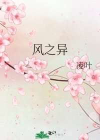 《风之异》