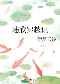 陆欣穿越记