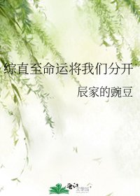 《综直至命运将我们分开》