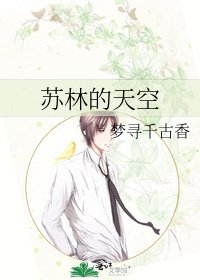 苏林的天空