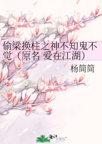 《偷梁换柱之神不知鬼不觉(原名 爱在江湖)》