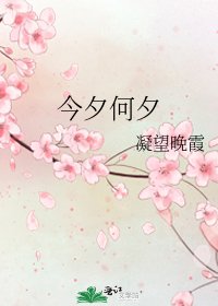 《今夕何夕》
