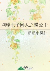 《网球王子同人之蝶公主》