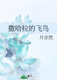 撒哈拉的飞鸟