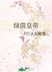 《绿茵皇帝》