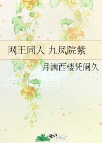 《网王同人 九凤院紫》