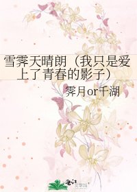 《雪霁天晴朗(我只是爱上了青春的影子)》