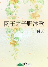 《网王之子野沐歌》