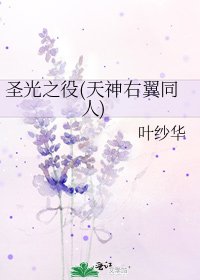 《圣光之役(天神右翼同人)》