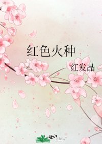 《红色火种》