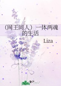 《(网王同人)一体两魂的生活》