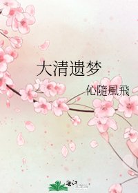 《大清遗梦》