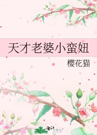 《天才老婆小蛮妞》