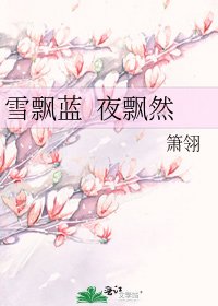《雪飘蓝 夜飘然》