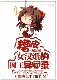 (BG/伪综漫同人)糟皮女汉纸的网王异闻录
