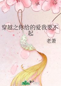 《穿越之你给的爱我要不起》