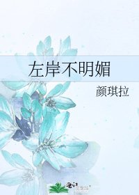 《左岸不明媚》