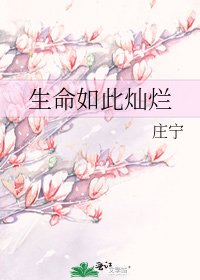 《生命如此灿烂》