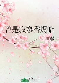 《曾是寂寥香烬暗》