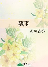 《飘羽》