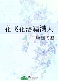 花飞花落霜满天