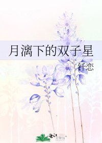 《月漓下的双子星》