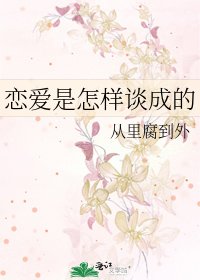 《恋爱是怎样谈成的》