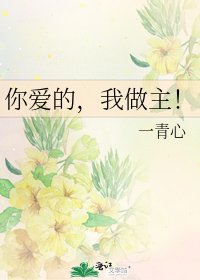 《你爱的,我做主!》