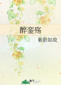 《醉銮殇》
