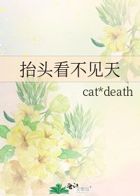 《抬头看不见天》