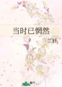 《当时已惘然》